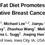 警惕！过量橄榄油或促三阴性乳腺癌(TNBC)转移？最新研究揭示饮食与癌症真相