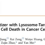 癌症免疫治疗新突破：溶酶体靶向光敏剂CPBPDPN-TPA联用PD-1，让“冷”肿瘤变“热”！