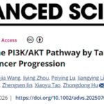 乳腺癌治疗新希望？蟾毒灵靶向GTF3C4，深度解析抗癌机制与潜在价值