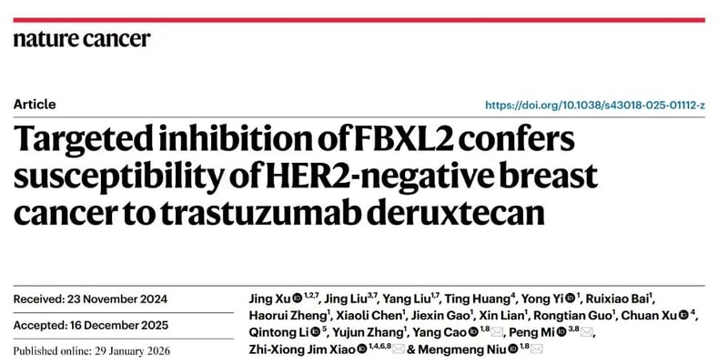 HER2-0三阴性乳腺癌新曙光：创新疗法让德曲妥珠单抗重焕生机