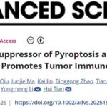 打破免疫治疗耐药！“双重开关”ZBTB21如何重塑抗肿瘤免疫力？
