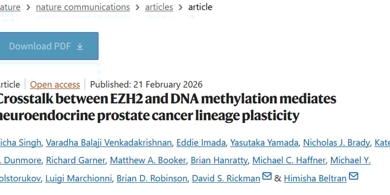 前列腺癌新希望：揭秘EZH2与DNA甲基化如何驱动耐药与谱系转化，寻找治疗新突破