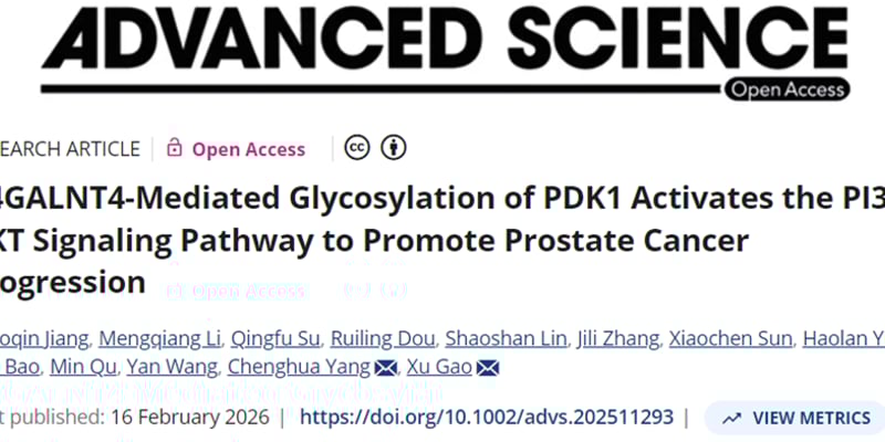 前列腺癌新靶点：B4GALNT4揭秘癌细胞“糖衣炮弹”，有望开辟治疗新路