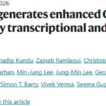 T细胞免疫疗法新突破：PARP抑制剂重编程T细胞，增强抗癌能力！