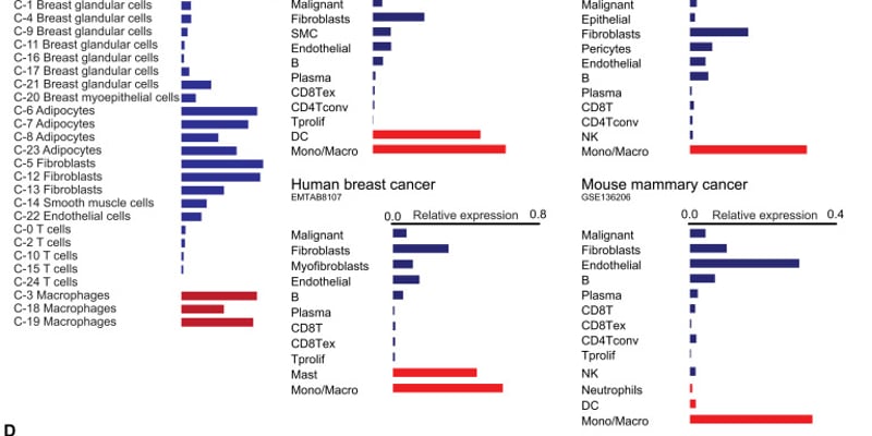 免疫疗法效果不佳？发现巨噬细胞“胆固醇外排”新机制，或为癌症治疗带来突破！