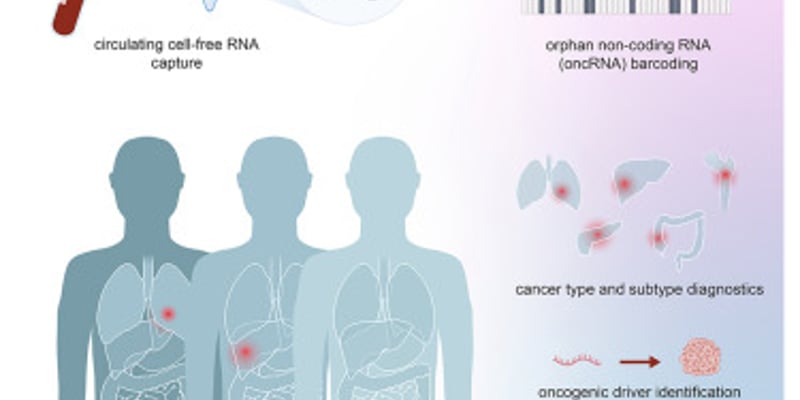 oncRNA：癌症早诊早治新希望？液体活检技术深度解析