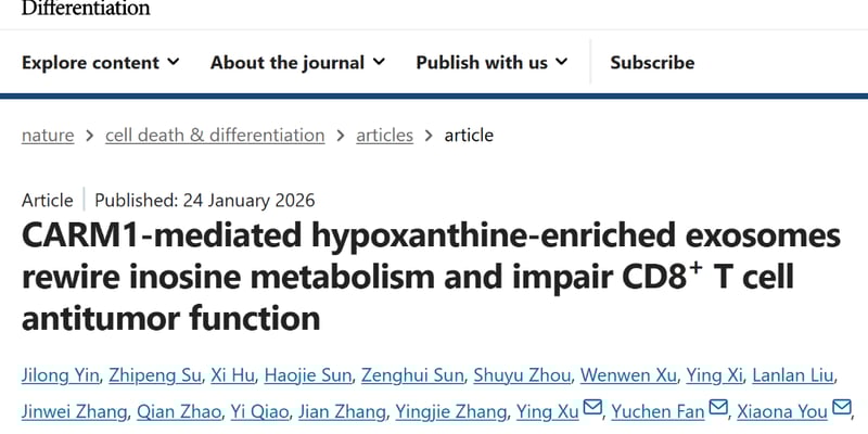 乳腺癌免疫治疗新策略：CARM1与外泌体如何“联手”抑制T细胞？未来疗法展望