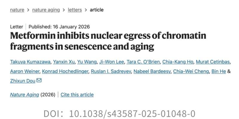 二甲双胍：从控糖到抗衰抗癌的“六边形战士”？深度解读最新研究与机制