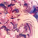 [肿瘤创新药] FDA批准N17350临床申请：开启ELANE通路抗癌新时代，晚期实体瘤患者迎来新希望