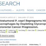 肠癌患者必看：新型“内鬼”菌普雷沃菌曝光，或成诊断与治疗新希望！