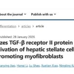 结直肠癌肝转移新希望：TUFT1蛋白如何驱动扩散？靶向策略与前景