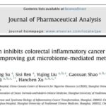 中医名方黄芩汤：重塑肠道菌群，逆转结直肠炎癌转化，点燃抗癌新希望