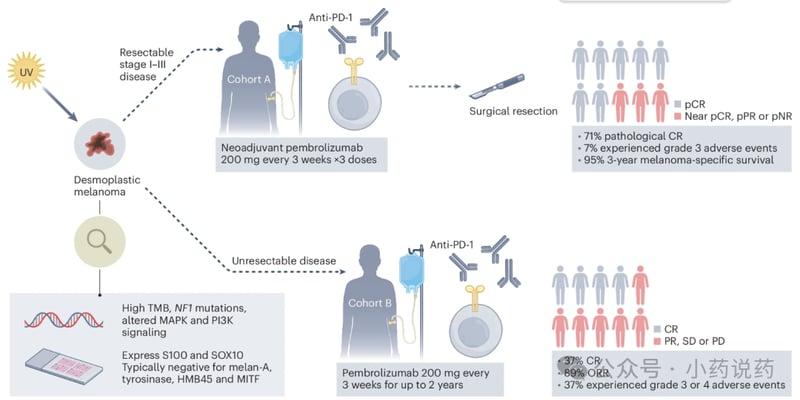 帕博利珠单抗突破性进展：促纤维增生性黑色素瘤患者的「新生」之路，疗效与安全性深度解析
