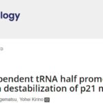 前列腺癌治疗新突破？揭秘“tRNA半分子”如何影响癌细胞生长，未来治疗靶点深度解析