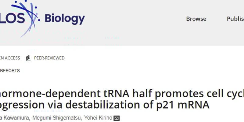 前列腺癌治疗新突破？揭秘“tRNA半分子”如何影响癌细胞生长，未来治疗靶点深度解析