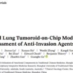 非小细胞肺癌转移治疗新突破：血管化肺肿瘤类器官芯片如何助力精准抗癌药研发与评估