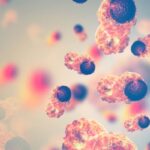 【淋巴瘤新希望】100%控制率！无化疗现货型CD19 t-haNK联合方案ResQ215B详解