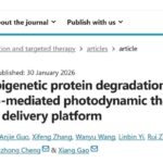 癌症治疗新突破：光动力疗法联合表观遗传降解剂，克服乳腺癌/黑色素瘤耐药性