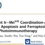 突破性进展！自产氧纳米颗粒如何逆转黑色素瘤乏氧，光免疫治疗迎来新希望