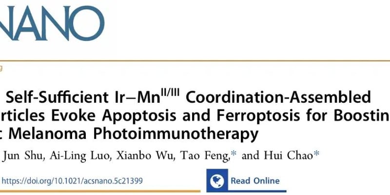 突破性进展！自产氧纳米颗粒如何逆转黑色素瘤乏氧，光免疫治疗迎来新希望