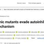癌症“癌变开关”新突破：《Science》揭示BRAF突变机制，靶向药潜力巨大