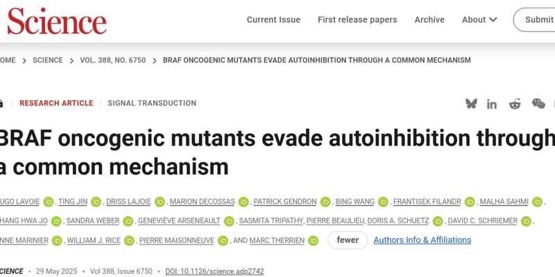 癌症“癌变开关”新突破：《Science》揭示BRAF突变机制，靶向药潜力巨大