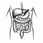 晚期肝癌新希望？纳武利尤单抗+伊匹木单抗组合疗效显著，但如何负担高昂费用？