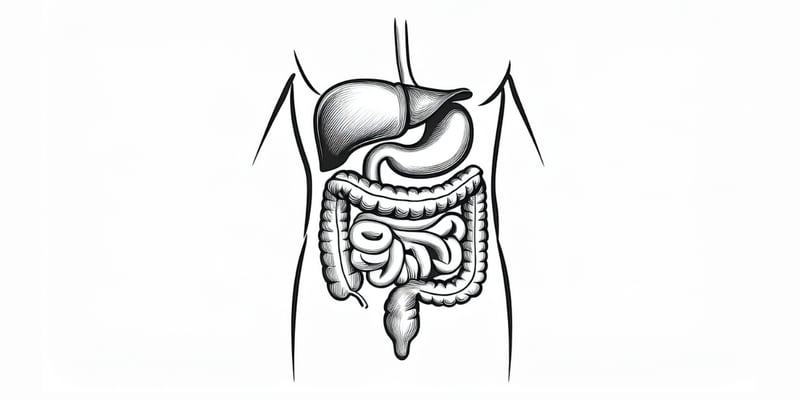 晚期肝癌新希望？纳武利尤单抗+伊匹木单抗组合疗效显著，但如何负担高昂费用？