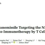 [靶向NKG2D] 癌症治疗新突破！纳米导弹精准狙击肿瘤，让免疫逃逸无处遁形
