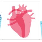 癌症幸存者如何降低心血管风险？JACC新研究：游戏化运动干预的惊人效果揭秘！