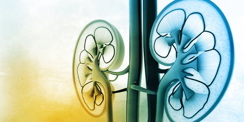 肾癌手术进入‘全息导航’时代：混合现实MR技术助力精准保肾，显著缩短缺血时间