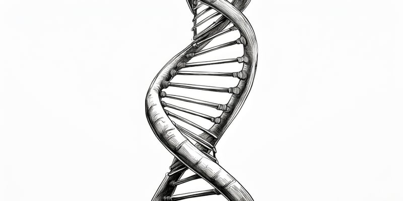 卡博替尼联合替莫唑胺：晚期平滑肌肉瘤治疗新希望？深度解析疗效与副作用