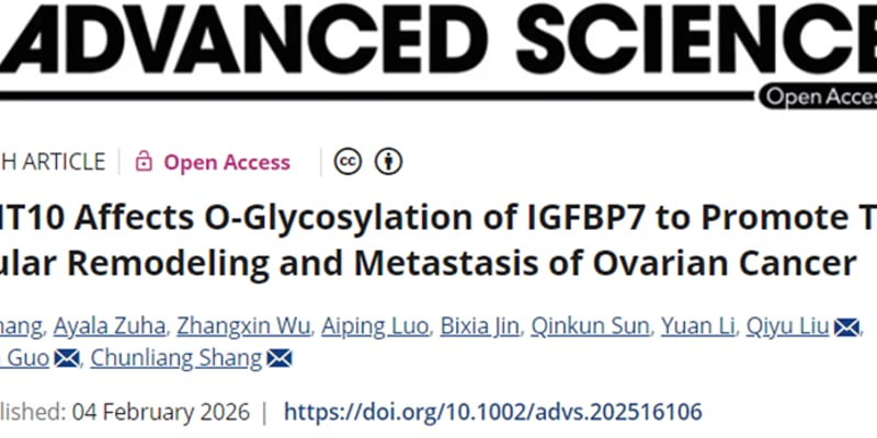 卵巢癌转移有望突破！北大新研究揭示GALNT10关键机制，木犀草素或开启治疗新篇章