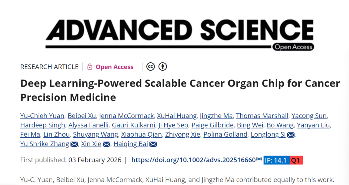告别盲选：深度学习肿瘤器官芯片，为癌症患者精准匹配抗癌药