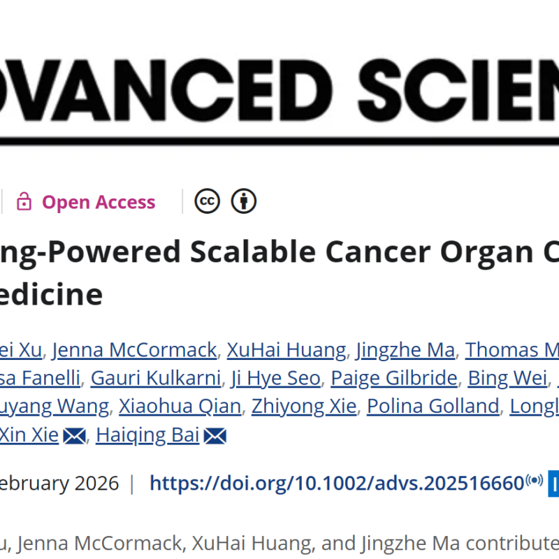 告别盲选：深度学习肿瘤器官芯片，为癌症患者精准匹配抗癌药