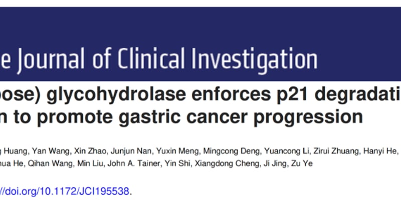 胃癌进展新机制获揭示：PARG调控p21降解，联合人参提取物或成精准治疗新策略