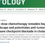 肝内胆管癌治疗突破！“低剂量”策略减毒增效，让免疫治疗更精准