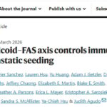 转移风险高达40%？Nature重磅：老药米非司酮联手免疫药，精准截杀乳腺癌“潜逃”细胞