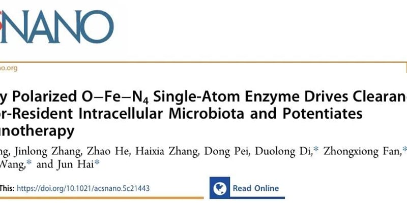 【中科院新突破】攻克乳腺癌冷肿瘤！轴向极化纳米酶清除肿瘤细菌，让PD-L1疗效倍增