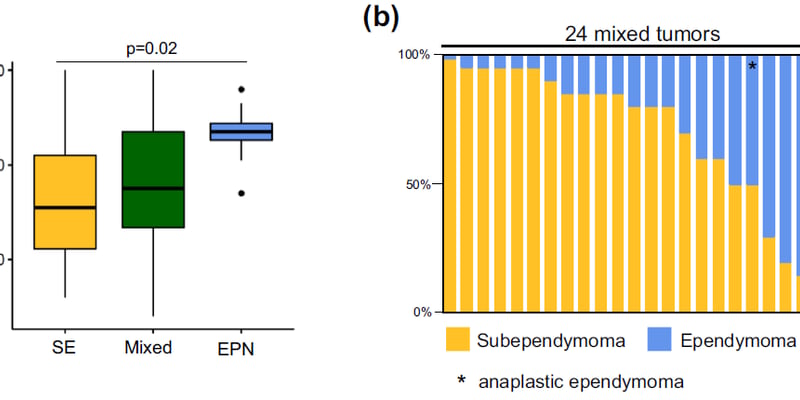 良性脑瘤也会“黑化”？揭秘室管膜下瘤恶变与复发的基因真相