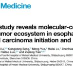 食管癌患者的新曙光：河北医大科研团队锁定关键驱动基因OGT，精准干预未来可期