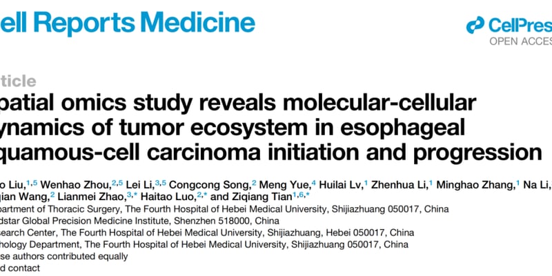 食管癌患者的新曙光：河北医大科研团队锁定关键驱动基因OGT，精准干预未来可期