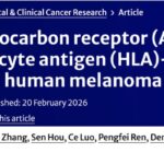 黑色素瘤治疗获重大突破：北大团队揭示AHR/ARNT新机制，肿瘤抗原呈递或成破局关键