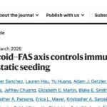 Nature重磅：40年“人流药”米非司酮竟能拦截三阴性乳腺癌转移？