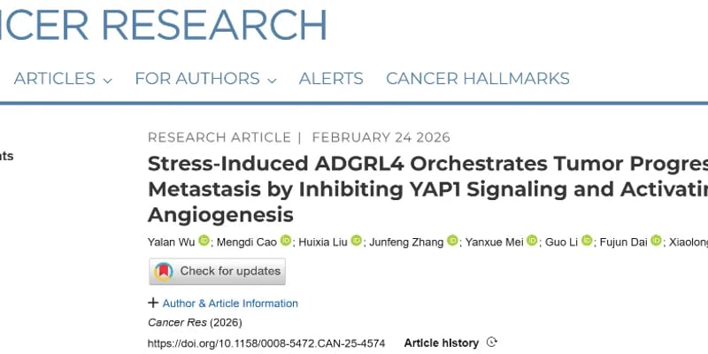 肿瘤为何杀不死？科学家发现“双面”受体ADGRL4，揭秘复发新机制