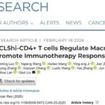 膀胱癌免疫治疗新希望：最新研究揭示关键耐药机制与增效策略