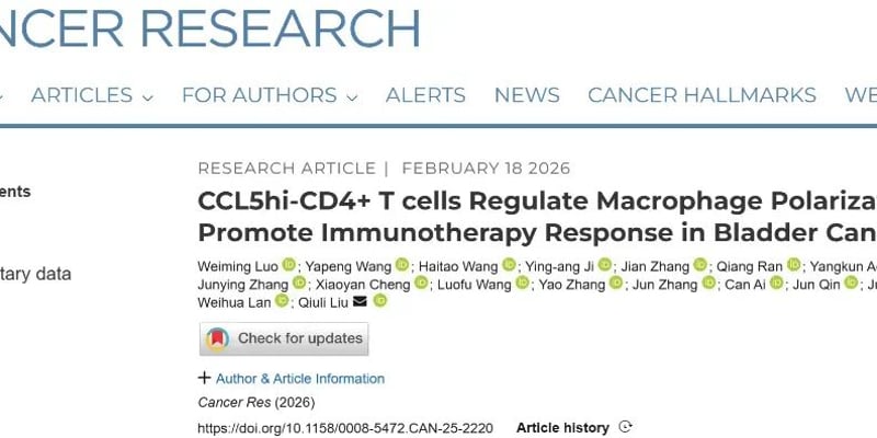 膀胱癌免疫治疗新希望：最新研究揭示关键耐药机制与增效策略