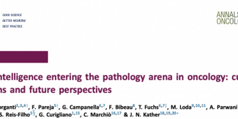 人工智能如何精准抗癌？深度解析AI在肿瘤病理诊断与治疗的突破