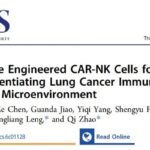 突破实体瘤“堡垒”！NIR-II纳米导航CAR-NK细胞为肺癌开启精准免疫新时代