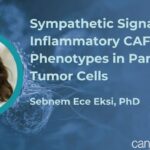 胰腺癌为何是“癌王”？JCI Insight揭秘：交感神经竟是肿瘤扩散的“拆迁队”